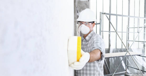 Best Attic Mold Removal  in Breaux Bridge, LA