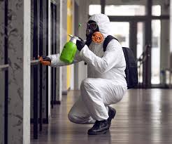 Best Black Mold Removal  in Breaux Bridge, LA